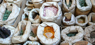 cordes